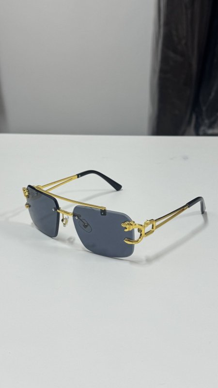 نظارة الاسد